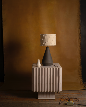 PL.txt.03 Large Pellizco Lamp